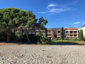 2025 - grand studio avec piscine et plage à 50 m